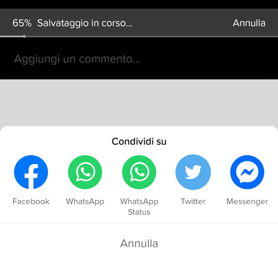 salvataggio in corso video tiktok