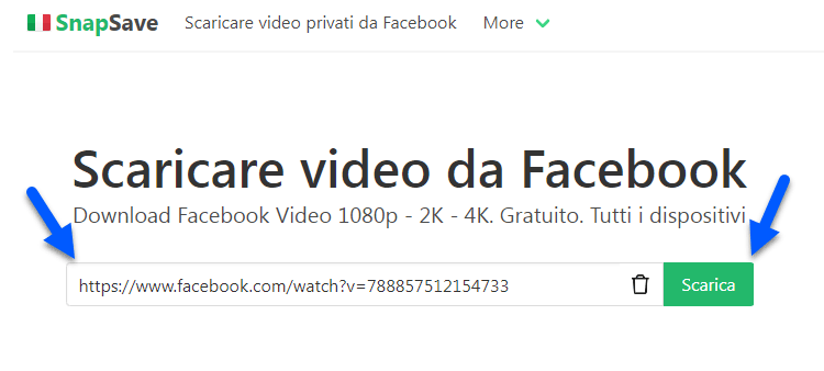 Scaricare video da facebook online